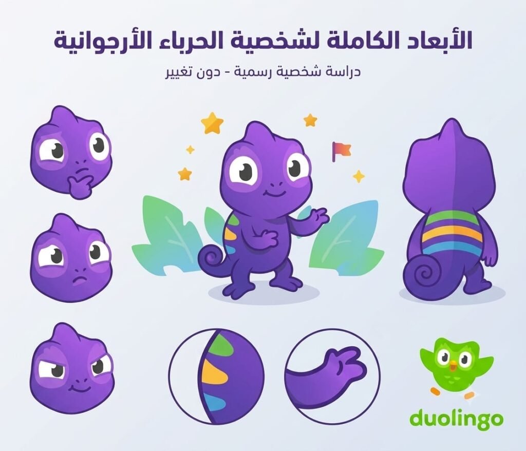 بنك تدريبات وحصيلة الكلمات والترجمة